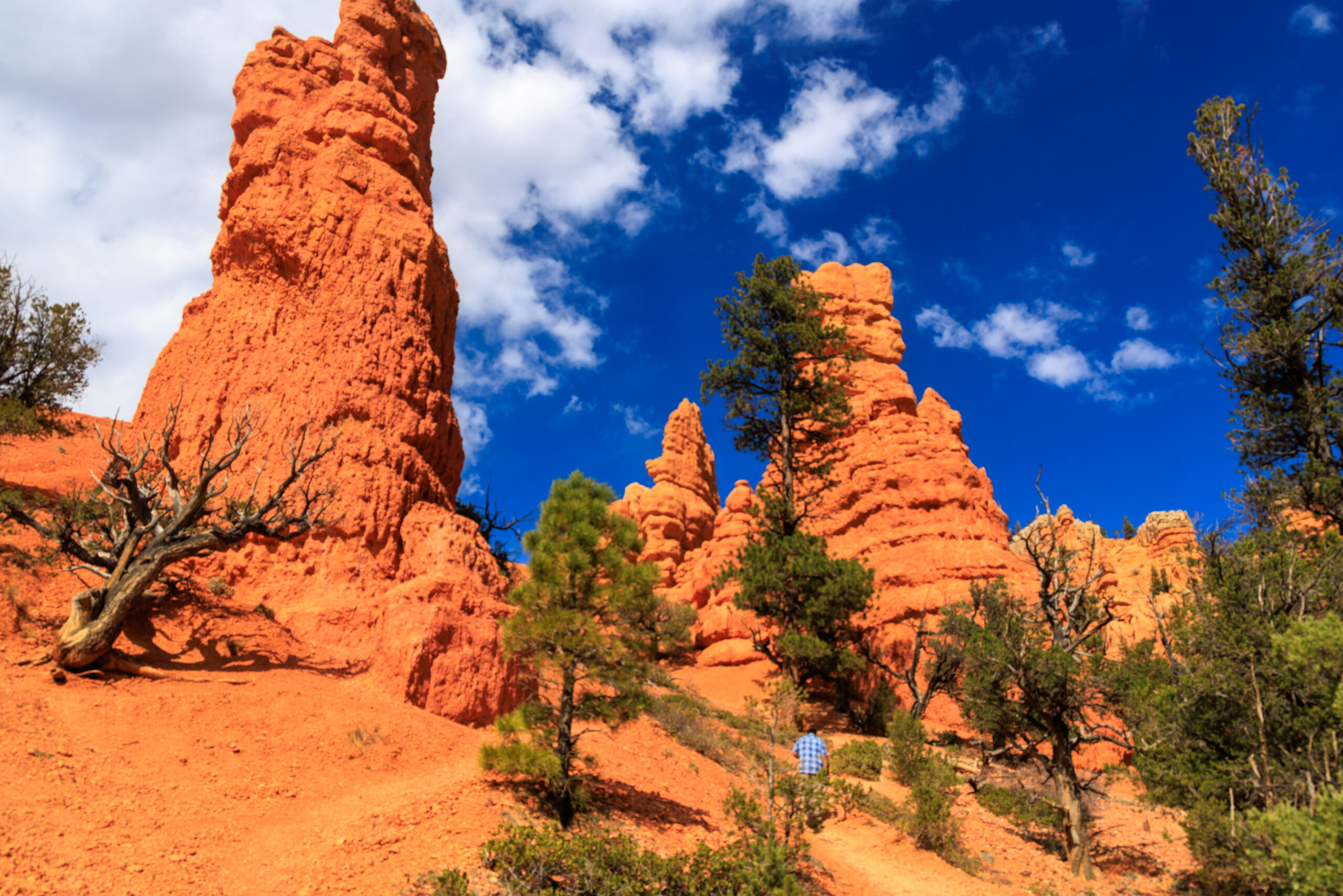 Bryce Canhon NP